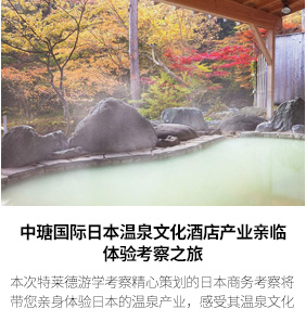 日本城市进程考察